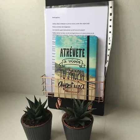 Casa Pinto *